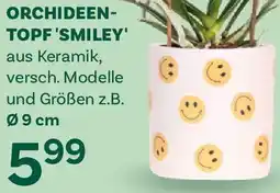 Bellaflora Orchideen- topf smiley Angebot