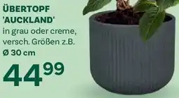 Bellaflora Übertopf auckland Angebot