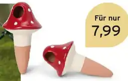 Tchibo Eduscho 2 Bewässerungshelfer Pilz Angebot