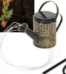 Tchibo Eduscho Solarleuchte Gießkanne Angebot