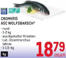 Metro Cromaris asc wolfsbarsch Angebot