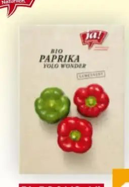 Billa ja!natürlich Bio-Samen Angebot