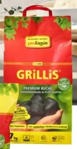 Hellweg proFagus Grill-Holzkohlebriketts Grillis Angebot