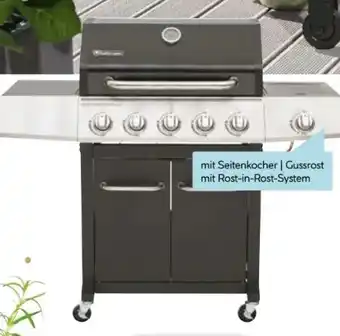Hellweg Rothmann Gasgrillwagen Daytona 5 Plusschwarz Angebot
