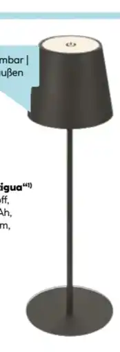 Hellweg Flector LED-Akku-Tischleuchte Antigua Angebot