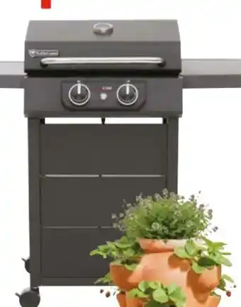 Hellweg Rothmann Elektrogrill eStar Angebot