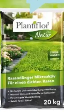 Hellweg Plantiflor Rasendünger Angebot