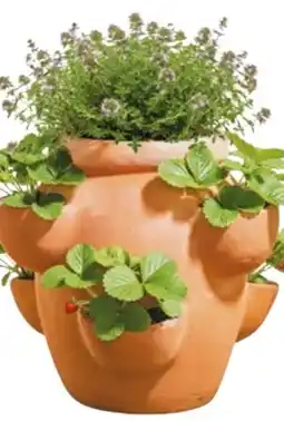 Hellweg Haveson Erdbeer-Kräutertopf Giardino Angebot
