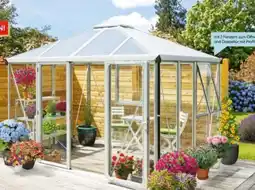 Hellweg Vitavia Garden Products Gewächshaus Jack Roof Angebot