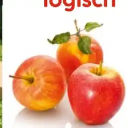 Hellweg Plantiflor Apfel Alkmene Angebot