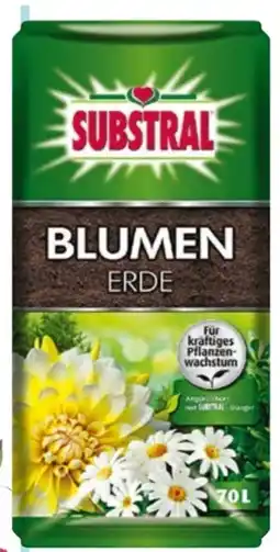 Hellweg Substral Blumenerde Angebot