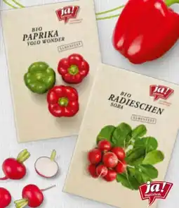 Billa ja!natürlich Bio-Samen Angebot