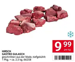 Transgourmet Hirsch gastro gulasch Angebot