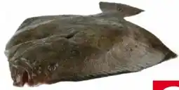 Transgourmet Steinbutt zucht Angebot