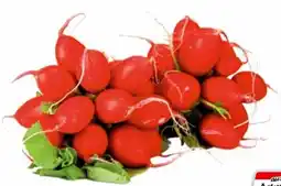 Transgourmet Radieschen mit grün kl.1 Angebot