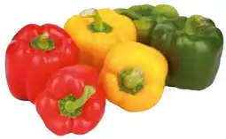 Transgourmet Paprika mix kl.1 Angebot