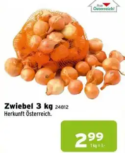 Salzburger Lagerhaus Zwiebel Angebot