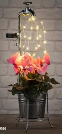 Salzburger Lagerhaus Wasserhahn Solar LED Angebot