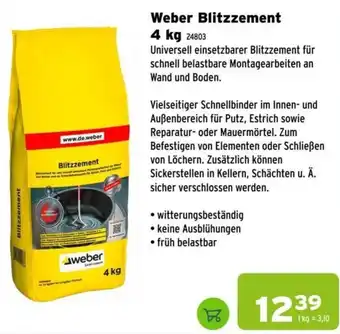 Salzburger Lagerhaus Weber Blitzzement Angebot