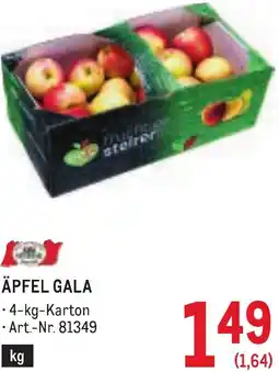 Metro Äpfel gala Angebot