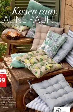 NKD Stuhlkissen Angebot