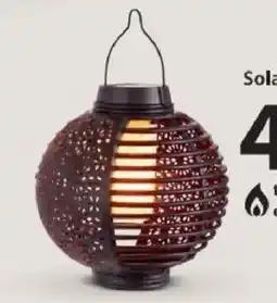 NKD Solar-Leuchte Angebot