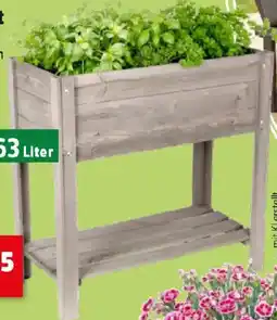 Thomas Philipps Hochbeet Angebot