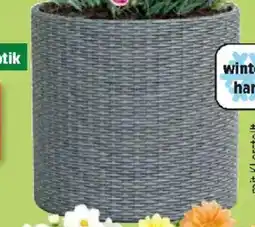 Thomas Philipps Keter Pflanzkübel Cylinder Angebot