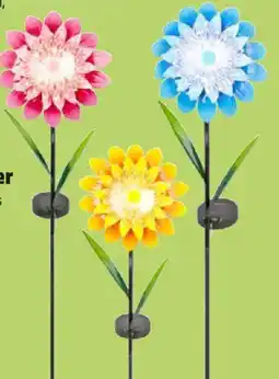 Thomas Philipps Solar- Blumenstecker Angebot