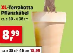 Thomas Philipps XL-Terrakotta Pflanzkübel Angebot