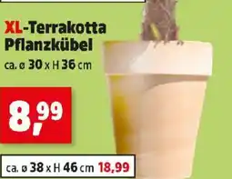 Thomas Philipps XL-Terrakotta Pflanzkübel Angebot