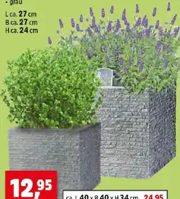 Thomas Philipps Pflanzkübel Kubus Angebot