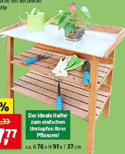 Thomas Philipps Holz-Pflanztisch Angebot