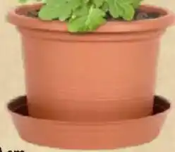 Thomas Philipps Passender Untersetzer Angebot