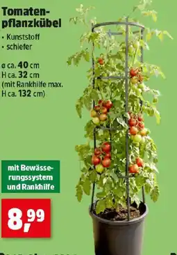 Thomas Philipps Tomaten- pflanzkübel Angebot
