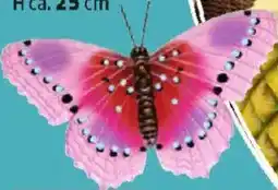 Thomas Philipps Metall- Wanddeko Angebot