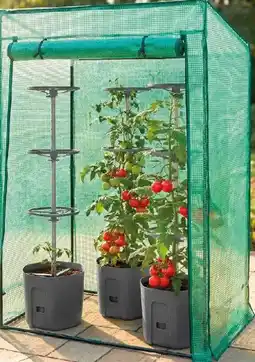 Thomas Philipps Tomaten-Gewächshaus Angebot