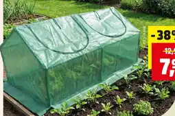 Thomas Philipps Folien- Gewächshaus Angebot