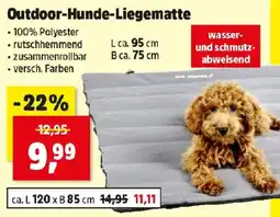 Thomas Philipps Outdoor-Hunde-Liegematte Angebot
