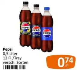 Kastner Pepsi Angebot