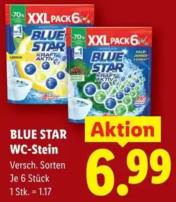 Lidl Blue star wc-stein Angebot