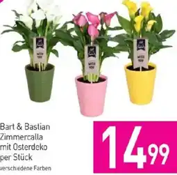 Sutterlüty Bart & Bastian Zimmercalla mit Osterdeko Angebot