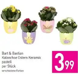 Sutterlüty Bart & Bastian Kalanchoe Ostern Keramik pastell Angebot