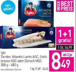 Sutterlüty Iglo Zander, Atlantik Lachs ASC, Gold- brasse ASC oder Dorsch MSC Angebot