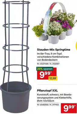 Lagerhaus Pflanztopf xxl Angebot