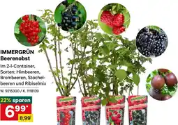 Lagerhaus Immergrün beerenobst Angebot