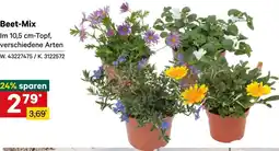 Lagerhaus Beet-Mix Angebot