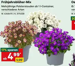 Lagerhaus Frühjahrsblüher-Mix Angebot