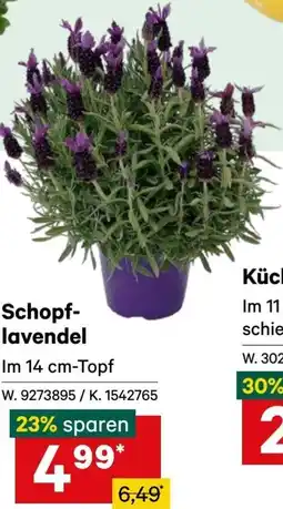 Lagerhaus Schopf- lavendel Angebot