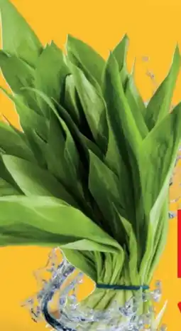 Lidl Bärlauch Angebot